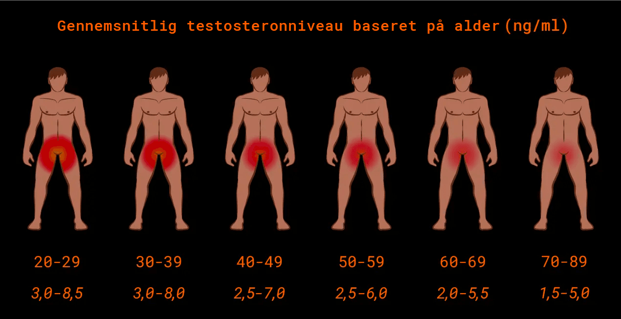 Testosteronniveauer for de forskellige aldersgrupper