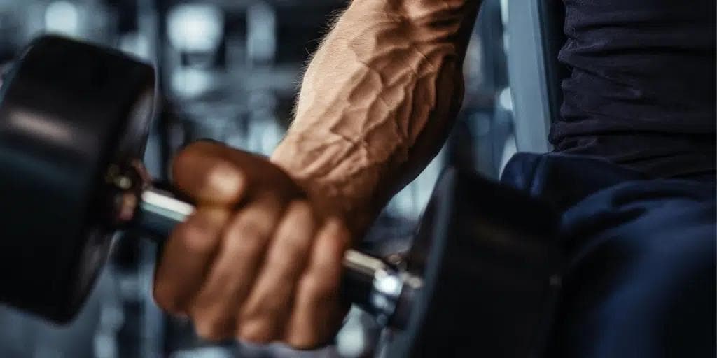 Muskulös arm med synliga vener lyfter en hantel