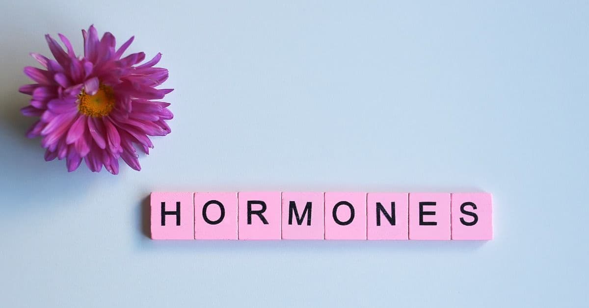 Bilde av blomst og bokstavbrikker med ordet: Hormoner