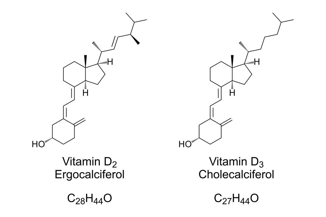 Illustration som visar skillnaden mellan vitamin D2 och vitamin D3