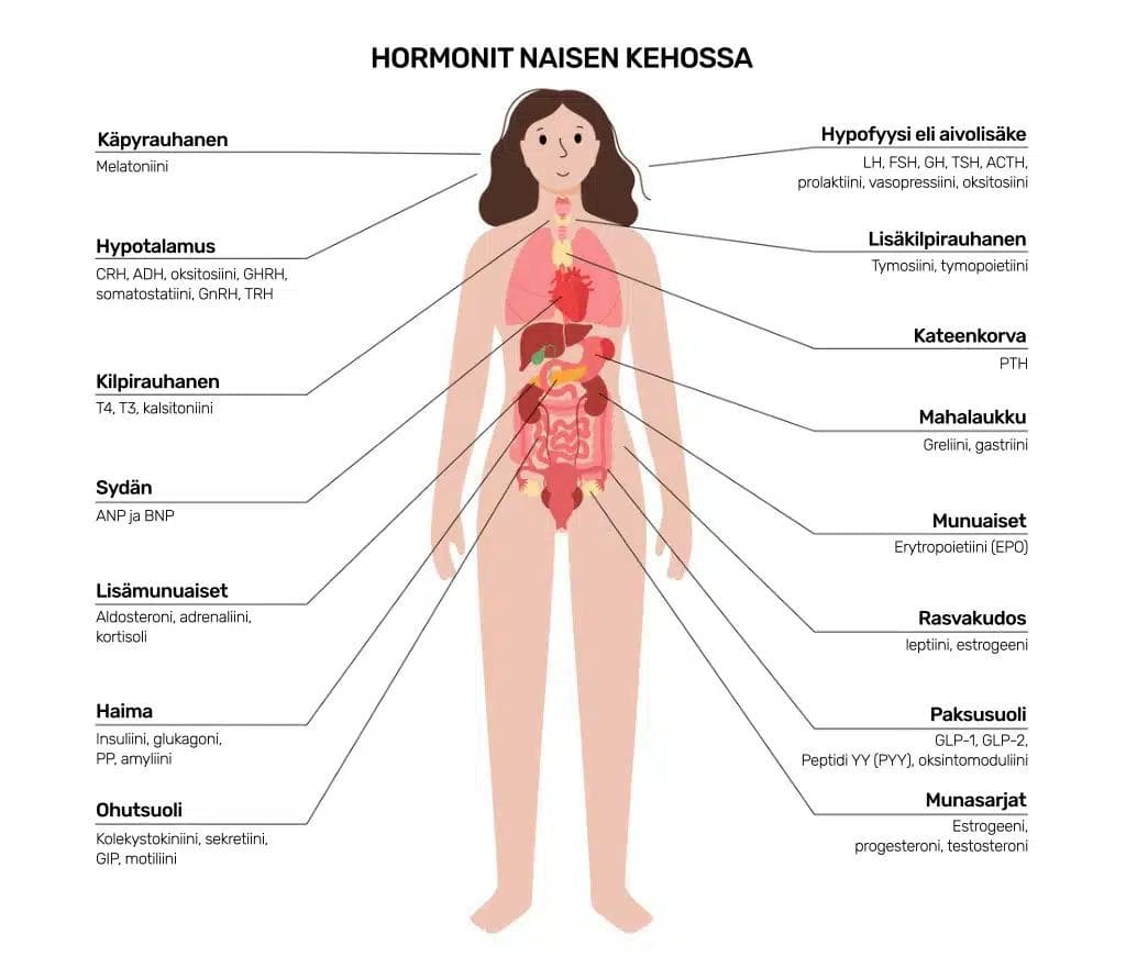 hormonit naisen kehossa