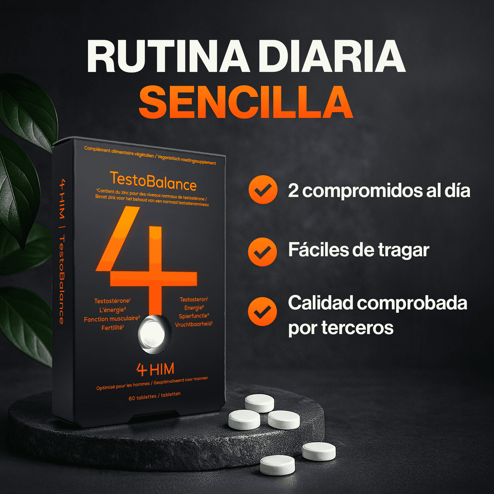 Rutina diaria sencilla