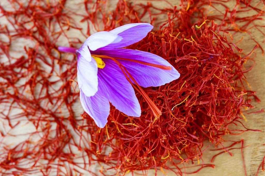 En krokusblomma på en hög med torkad saffran